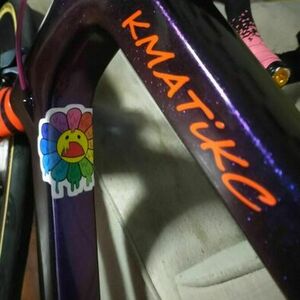 2023 Zephyrus z800 Purple and Orange