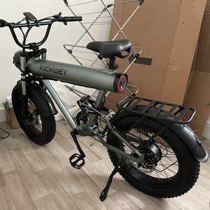 2023 Kickwey Silver, gray or bare metal