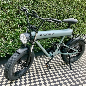 2023 Kickwey Silver, gray or bare metal