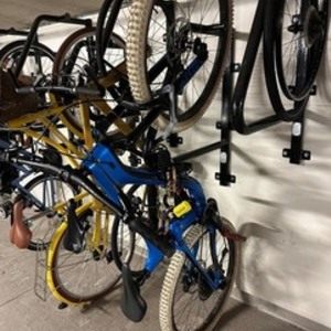 2019 Giant Reign Blue