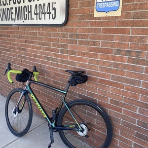 2019 Specialized Tarmac Expert Green