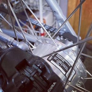 2020 FLX Babymaker Silver, gray or bare metal