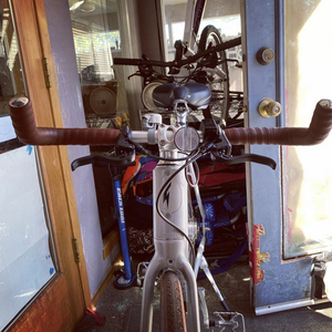 2020 FLX Babymaker Silver, gray or bare metal