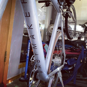 2020 FLX Babymaker Silver, gray or bare metal