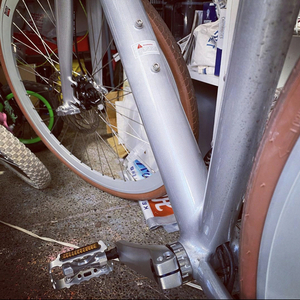 2020 FLX Babymaker Silver, gray or bare metal