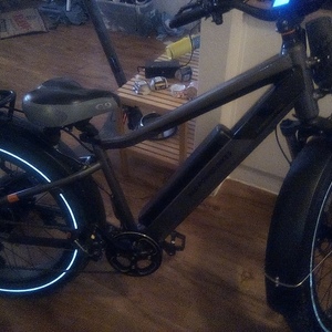 2023 Rad Power Bikes Rad rover 6 plus Silver, gray or bare metal