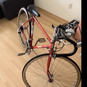 1978 Takara Unsure Red