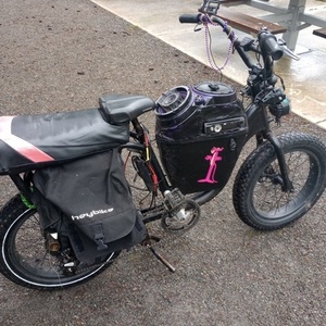 2021 Rad Power Bikes Runner e-personal mobility