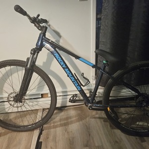 2010 Rocky Mountain Bicycles fusion Black and Blue