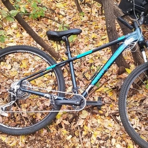 2010 Rocky Mountain Bicycles fusion Black and Blue