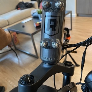 2021 Rad Power Bikes RadRover 6 Plus Silver, gray or bare metal