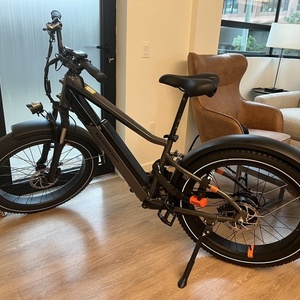 2021 Rad Power Bikes RadRover 6 Plus Silver, gray or bare metal