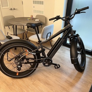 2021 Rad Power Bikes RadRover 6 Plus Silver, gray or bare metal