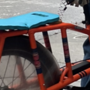 2020 Rad Power Bikes Rad wagon 3 Orange