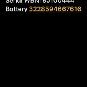 2020 Rad Power Bikes Rad wagon 3 Orange