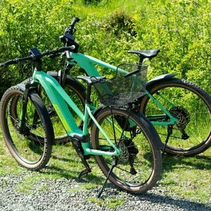 2021 Cube Reaction Hybrid Race 625 Trapeze Green