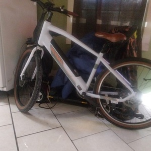 2023 Heybike Sola White and Brown