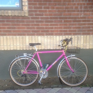 1989 Gary Fisher Celerity Pink