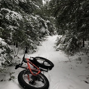 2019 Salsa Mukluk Orange