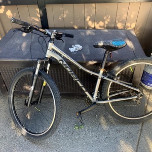 Norco Bikes Storm Silver, gray or bare metal