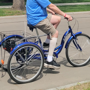 Schwinn Meridian tricycle Blue