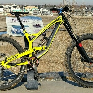 2017 YT YT TUES Yellow or Gold, Black, and Red