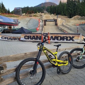 2017 YT YT TUES Yellow or Gold, Black, and Red