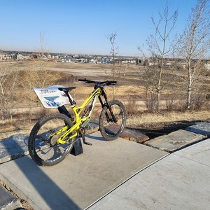 2017 YT YT TUES Yellow or Gold, Black, and Red