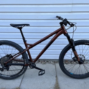 2023 Ragley Mmmbop Orange