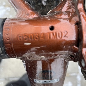 2023 Ragley Mmmbop Orange