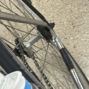 SE Bikes Lager Silver, gray or bare metal