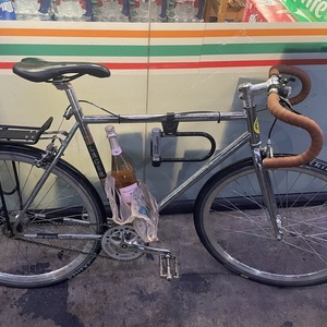 SE Bikes Lager Silver, gray or bare metal