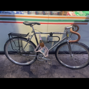 SE Bikes Lager Silver, gray or bare metal