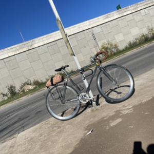 SE Bikes Lager Silver, gray or bare metal