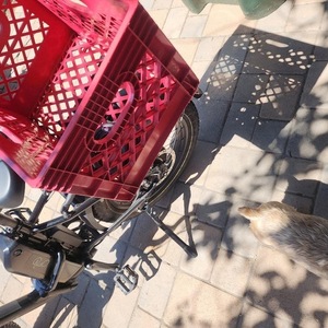 2023 Rad Power Bikes Expand Black