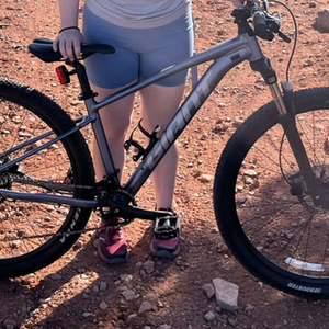 2023 Giant Knight Shield Build Silver, gray or bare metal