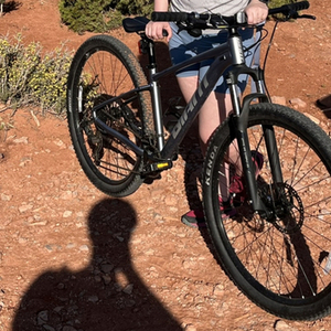 2023 Giant Knight Shield Build Silver, gray or bare metal