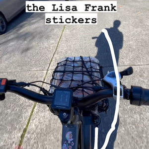 2023 Rad Power Bikes Silver, gray or bare metal