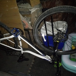 Specialized Jett Comp 29 White, Blue, and Silver, gray or bare metal