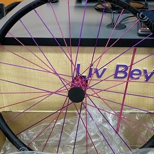 2019 Giant Trance Green
