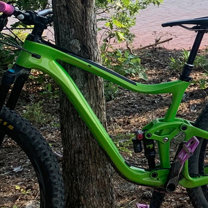 2019 Giant Trance Green