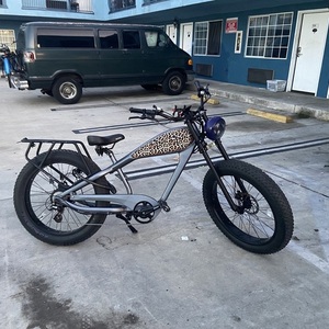 Cheetah Silver, gray or bare metal