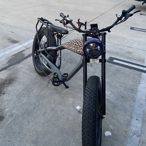 Cheetah Silver, gray or bare metal