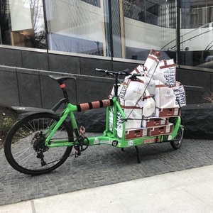 2013 Larry Vs Harry Lizzard King cargo bike (front storage) Green