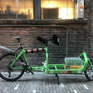 2013 Larry Vs Harry Lizzard King cargo bike (front storage) Green