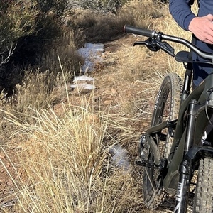 2024 Specialized SJ EVO LTD Green