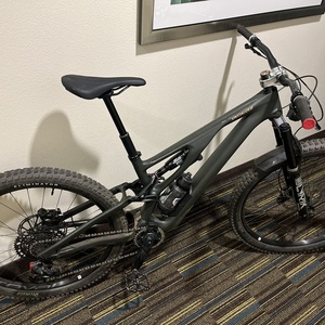 2024 Specialized SJ EVO LTD Green