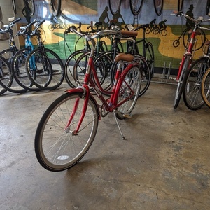 2024 Fyxation Red