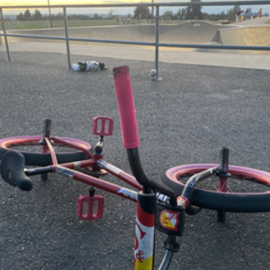 2020 S &amp; M NBD Red