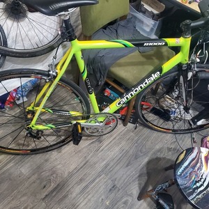 Cannondale Green